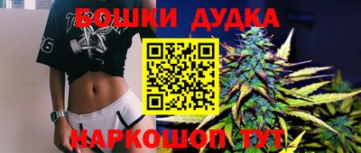 дмт Новокубанск