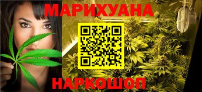 дмт Новокубанск