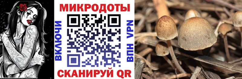 Псилоцибиновые грибы Psilocybe  наркошоп  кракен   Сафоново 