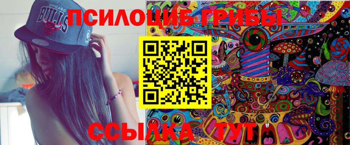 Галлюциногенные грибы Cubensis Сафоново
